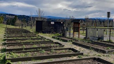 Plots at the Troutdale Community Garden in Sunrise City Park